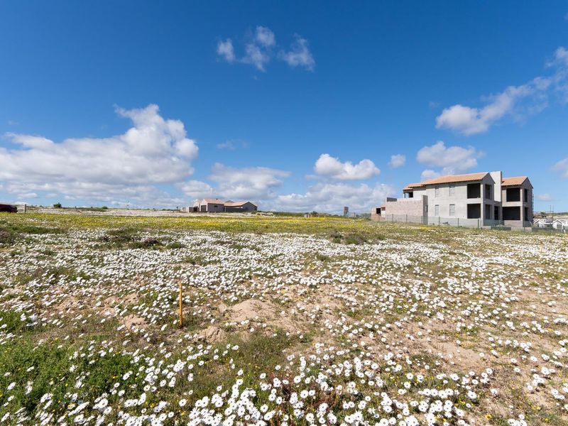 West-Facing Vacant Stand with approved plans - Photo 4
