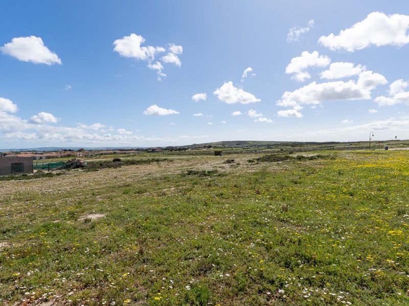 West-Facing Vacant Stand with approved plans - Photo 7