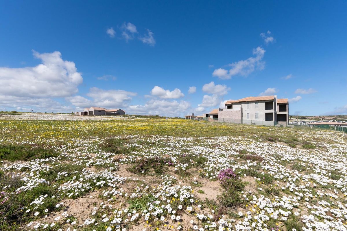 West-Facing Vacant Stand with approved plans - Photo 3