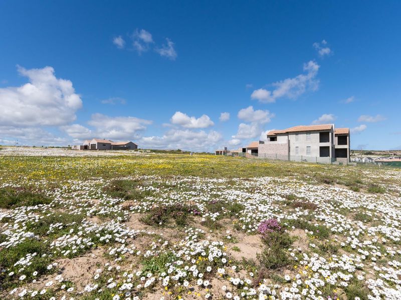 West-Facing Vacant Stand with approved plans - Photo 3