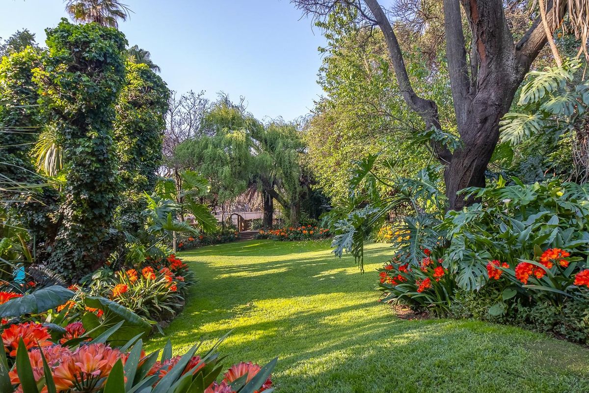 A Grand Old Lady in Northcliff - Timeless Charm Meets Endless Possibility! - Photo 3