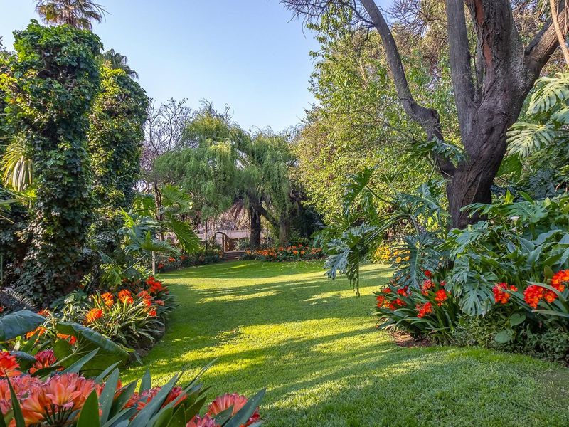 A Grand Old Lady in Northcliff - Timeless Charm Meets Endless Possibility! - Photo 3