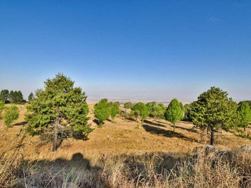 A scenic elevated view of the surrounding landscape featuring mature trees and open natural terrain under a clear blue sky.