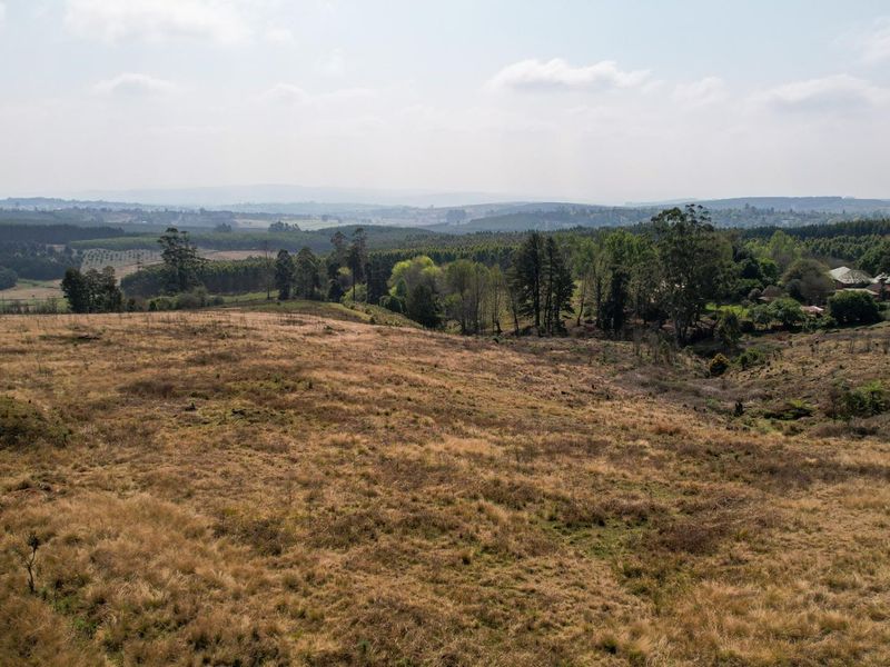 Investor Opportunity: Multi-Faceted 39.9-Hectare Development in the Heart of Hilton - Photo 10