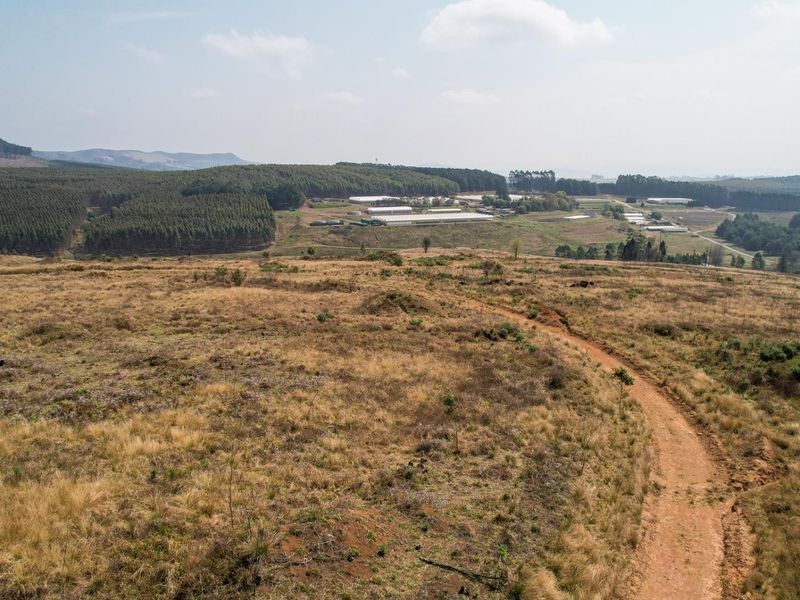 Investor Opportunity: Multi-Faceted 39.9-Hectare Development in the Heart of Hilton - Photo 9