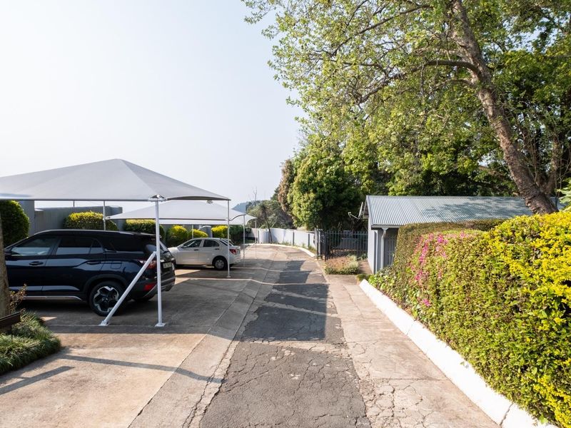 Boutique Hotel / Redevelopment Opportunity – Old Howick Road - Photo 5