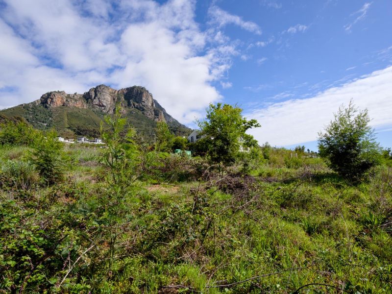 Best-kept secret in Stellenbosch - Photo 10