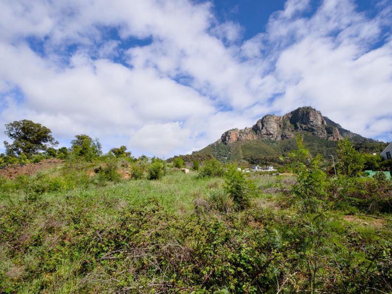 Best-kept secret in Stellenbosch - Photo 9