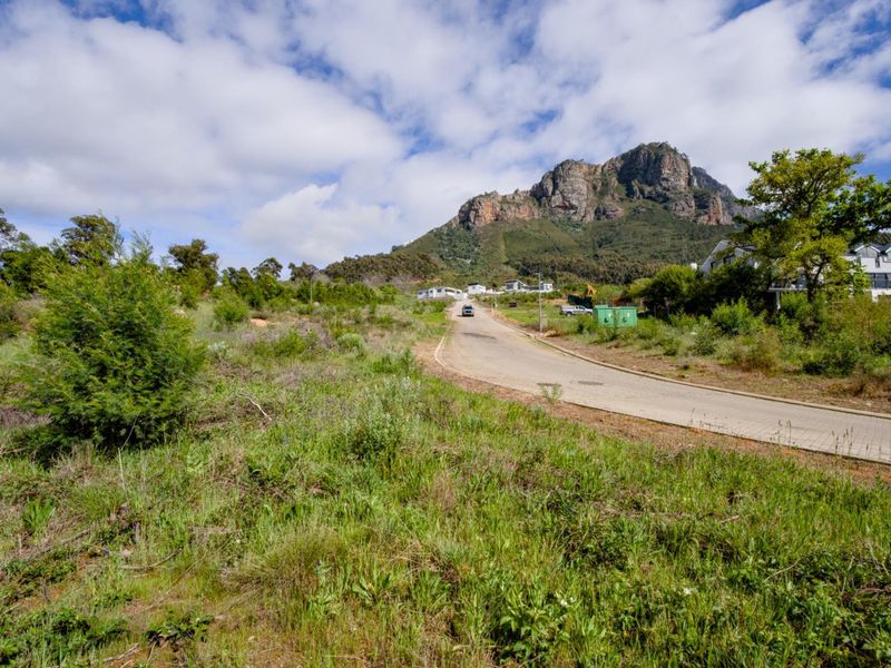 Best-kept secret in Stellenbosch - Photo 7