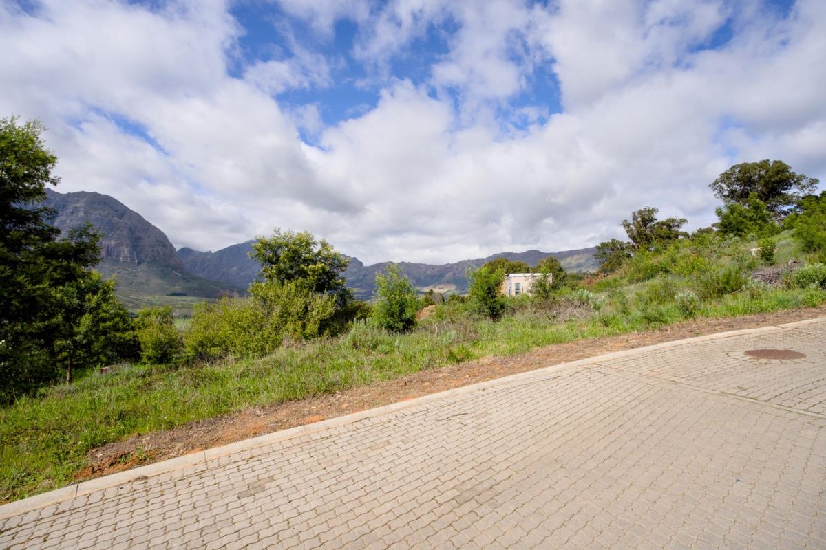 Best-kept secret in Stellenbosch - Photo 5