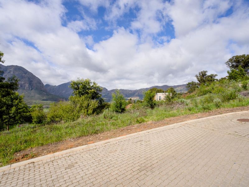 Best-kept secret in Stellenbosch - Photo 5