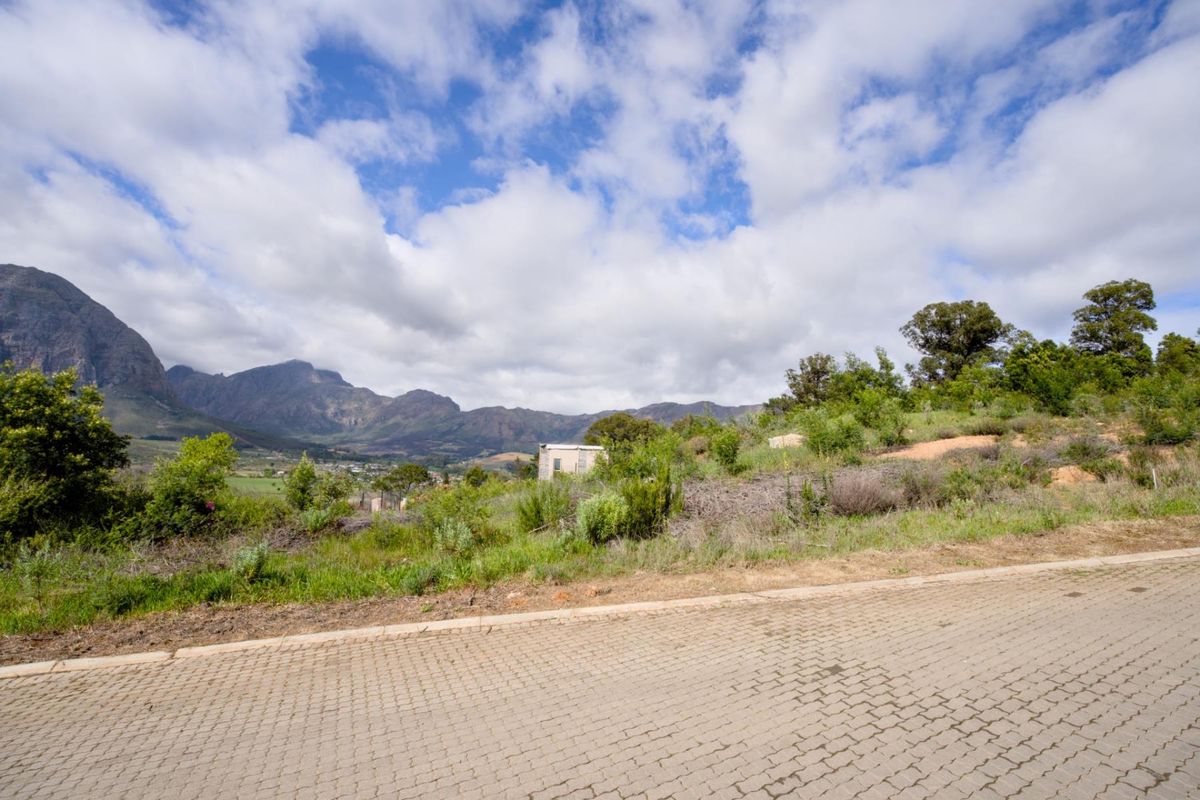 Best-kept secret in Stellenbosch - Photo 4