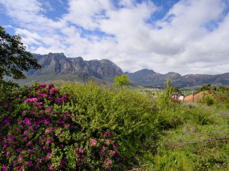 Best-kept secret in Stellenbosch - Photo 1