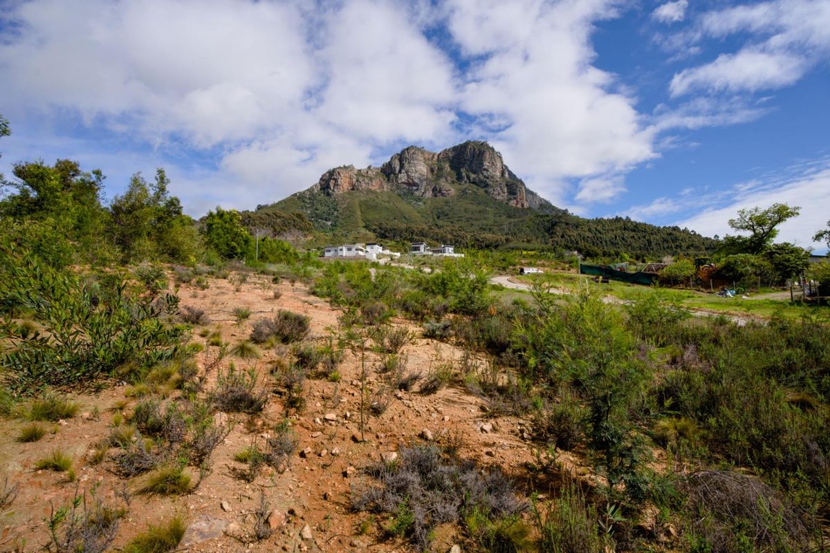 Vacant Land Under Offer in Johannesdal Stellenbosch - Photo 5