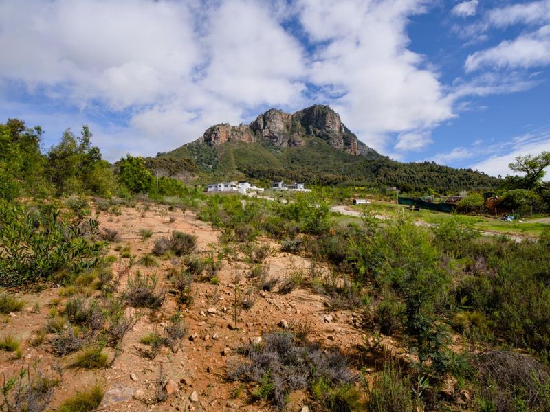 Vacant Land Under Offer in Johannesdal Stellenbosch - Photo 5