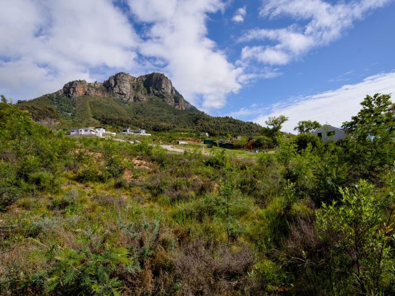 Vacant Land Under Offer in Johannesdal Stellenbosch - Photo 2