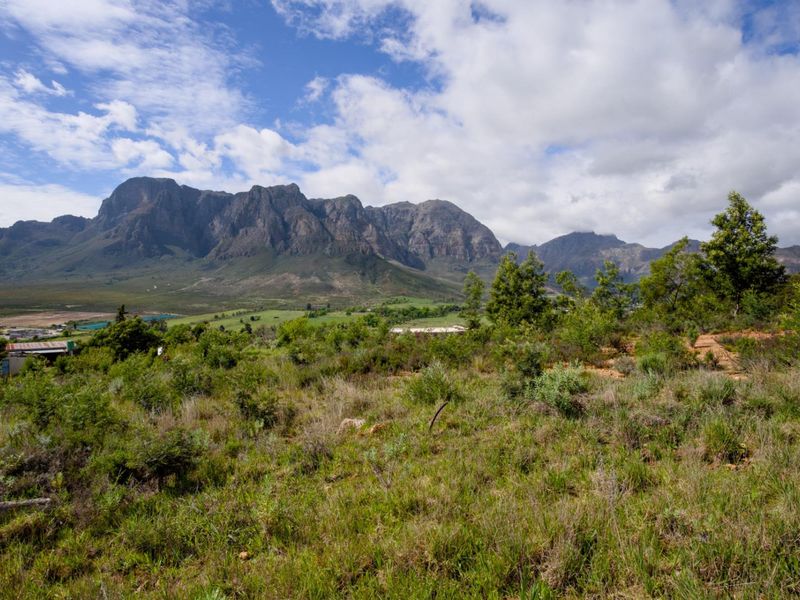 Vacant Land Under Offer in Johannesdal Stellenbosch - Photo 10