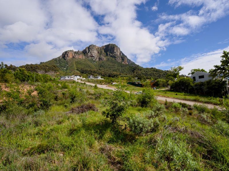 Vacant Land Under Offer in Johannesdal Stellenbosch - Photo 1