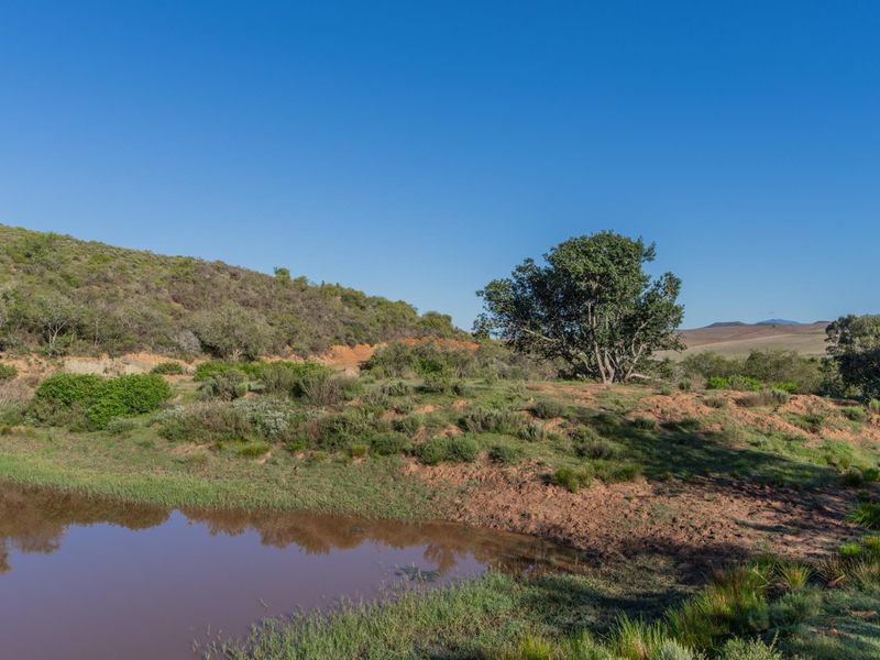 Versatile livestock and game farm close to Riversdale - Photo 4