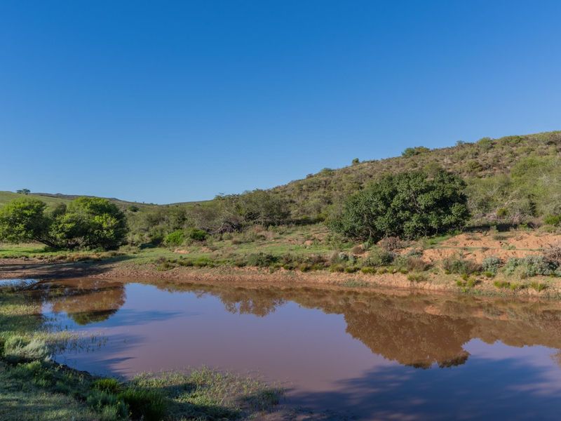 Versatile livestock and game farm close to Riversdale - Photo 2