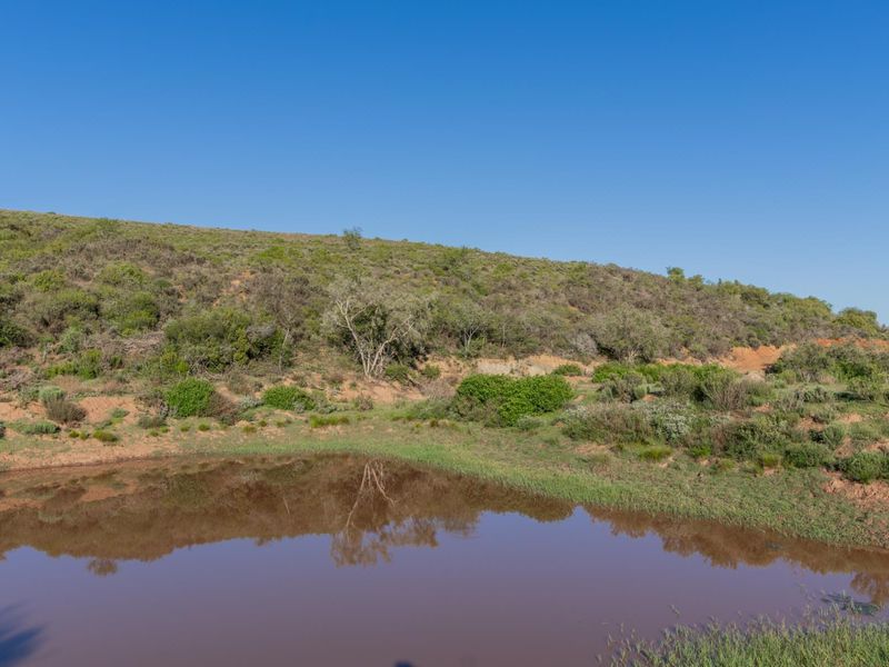 Versatile livestock and game farm close to Riversdale - Photo 3