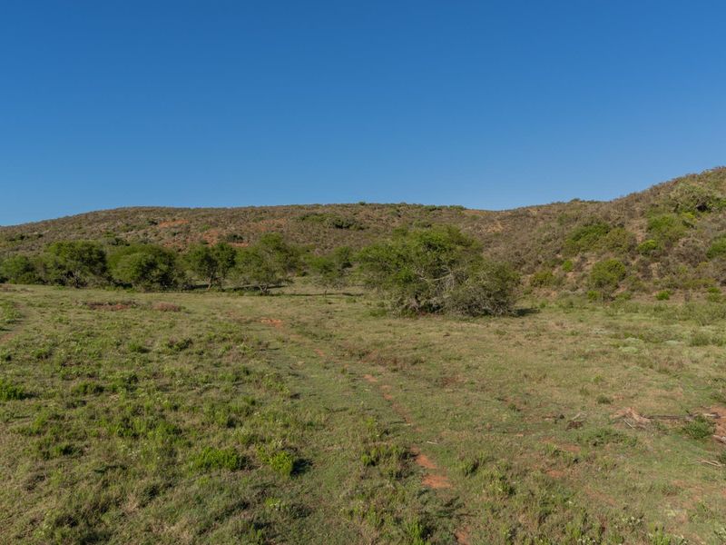 Versatile livestock and game farm close to Riversdale - Photo 8