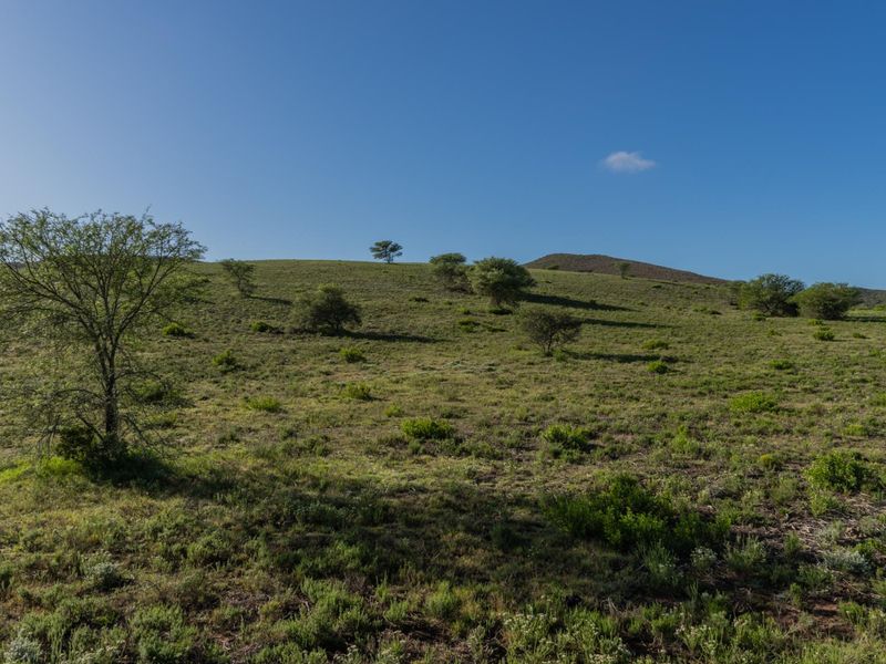Versatile livestock and game farm close to Riversdale - Photo 7