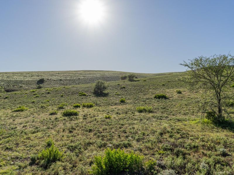 Versatile livestock and game farm close to Riversdale - Photo 6