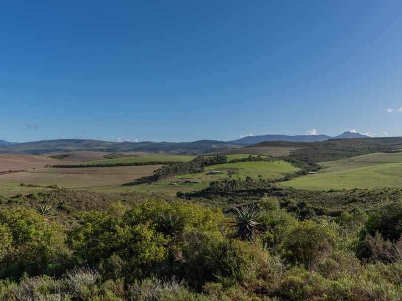 Versatile livestock and game farm close to Riversdale - Photo 9