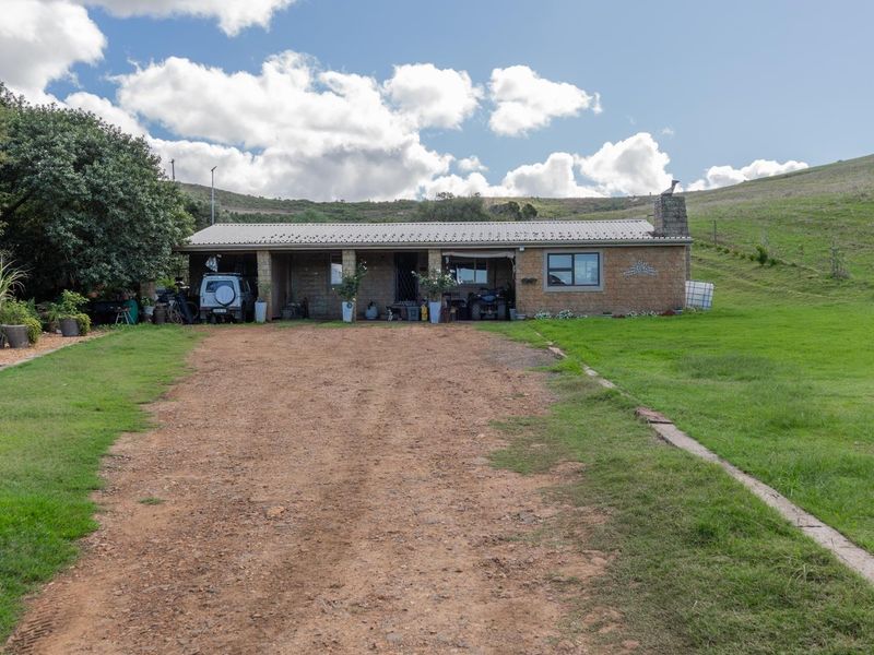 Versatile livestock and game farm close to Riversdale - Photo 1