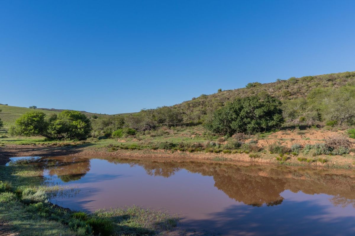 Versatile livestock and game farm close to Riversdale - Photo 2