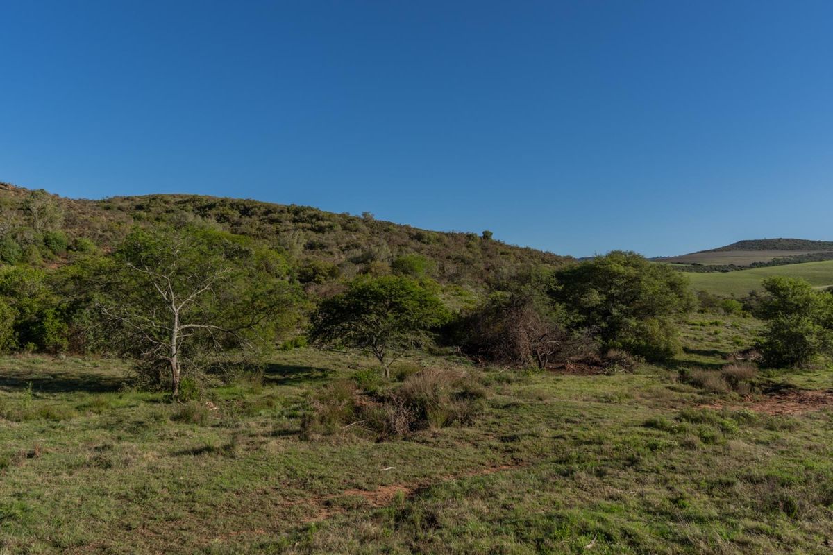 Versatile livestock and game farm close to Riversdale - Photo 5