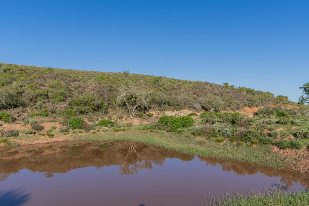 Versatile livestock and game farm close to Riversdale - Photo 3