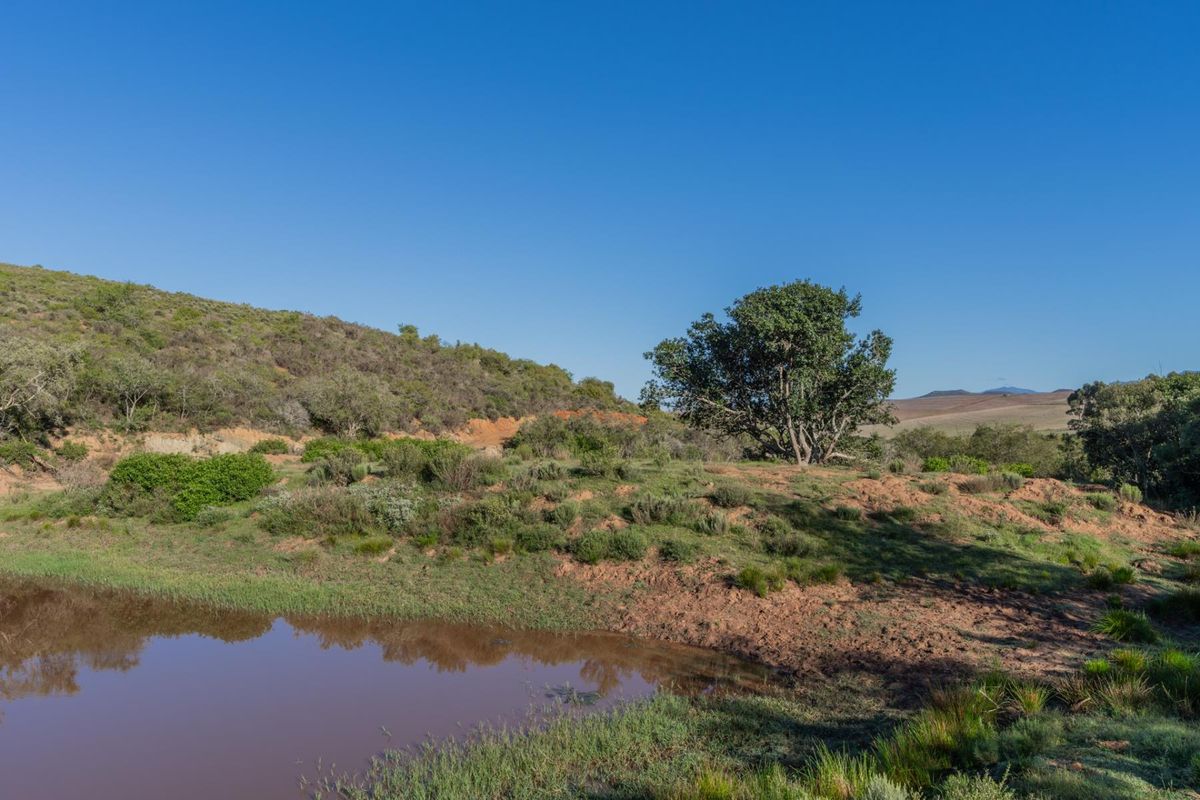 Versatile livestock and game farm close to Riversdale - Photo 4
