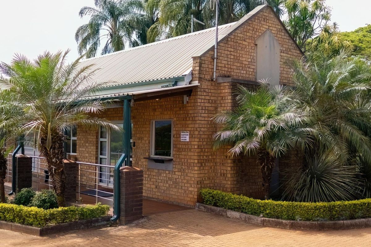 Prime Agricultural Investment-Export Grade Avocado's, Macadamia and Banana Farm For Sale - Photo 2