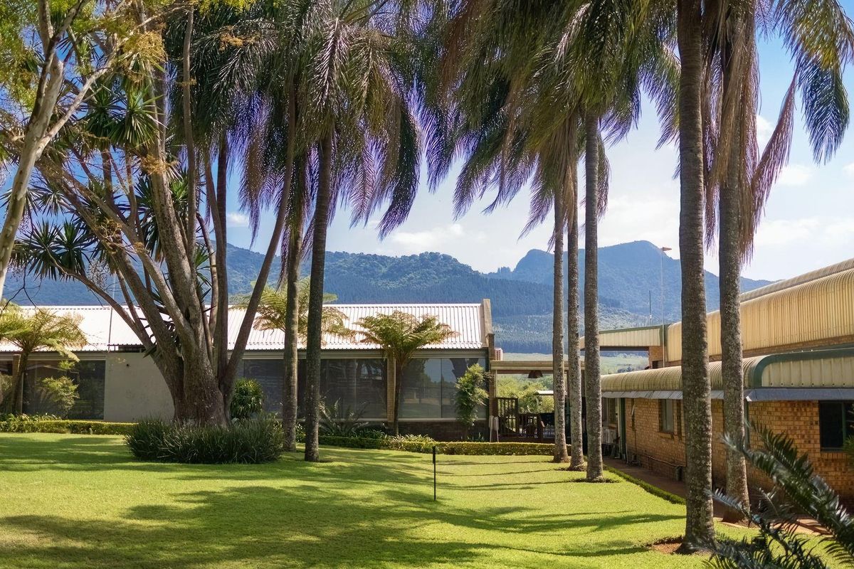 Prime Agricultural Investment-Export Grade Avocado's, Macadamia and Banana Farm For Sale - Photo 3