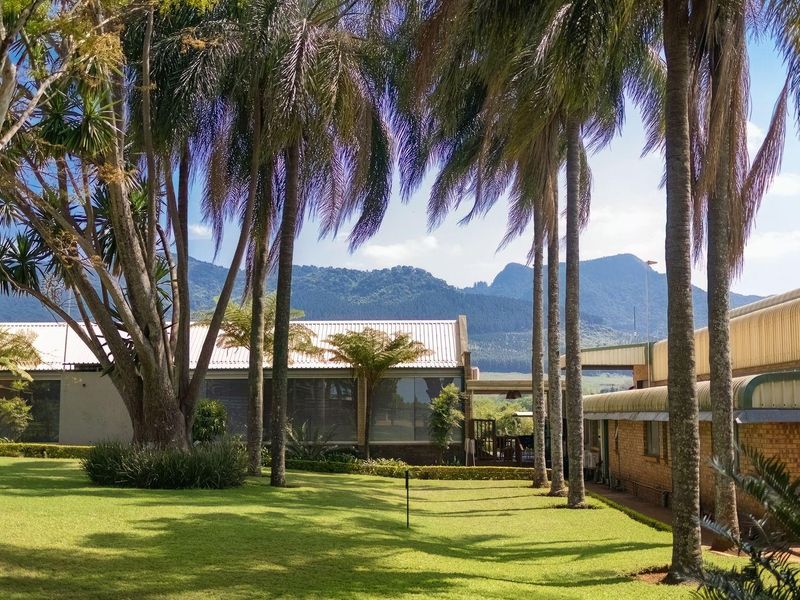 Prime Agricultural Investment-Export Grade Avocado's, Macadamia and Banana Farm For Sale - Photo 3