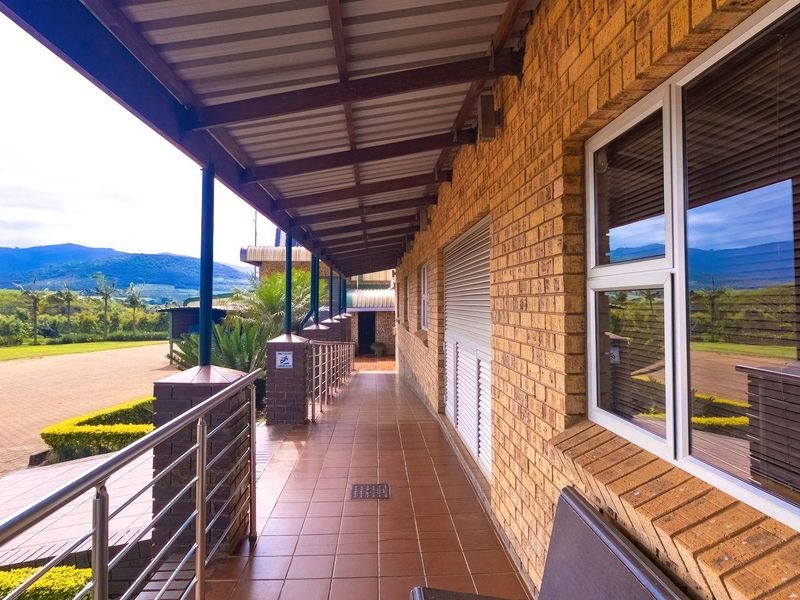 Prime Agricultural Investment-Export Grade Avocado's, Macadamia and Banana Farm For Sale - Photo 10