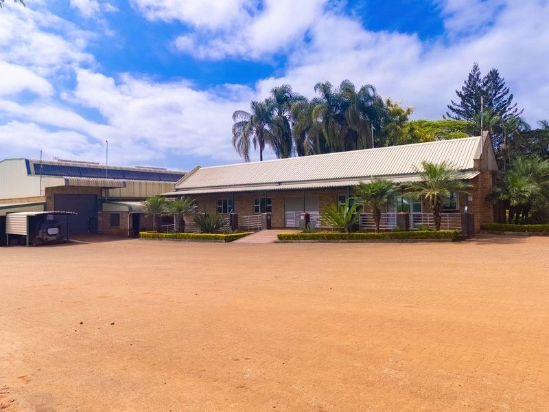 Prime Agricultural Investment-Export Grade Avocado's, Macadamia and Banana Farm For Sale - Photo 7