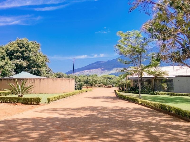 Prime Agricultural Investment-Export Grade Avocado's, Macadamia and Banana Farm For Sale - Photo 6