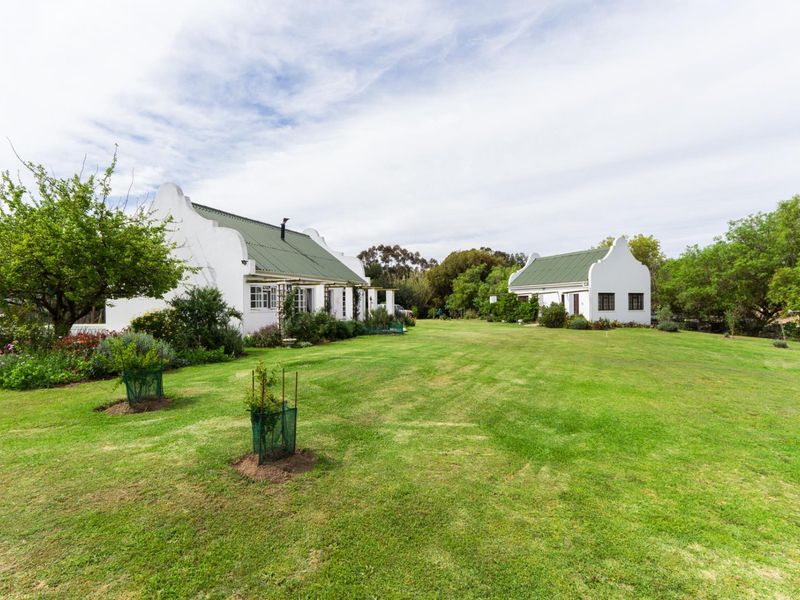 Cape Country Cottages for Sale in Central Napier - R3,3m - Photo 4
