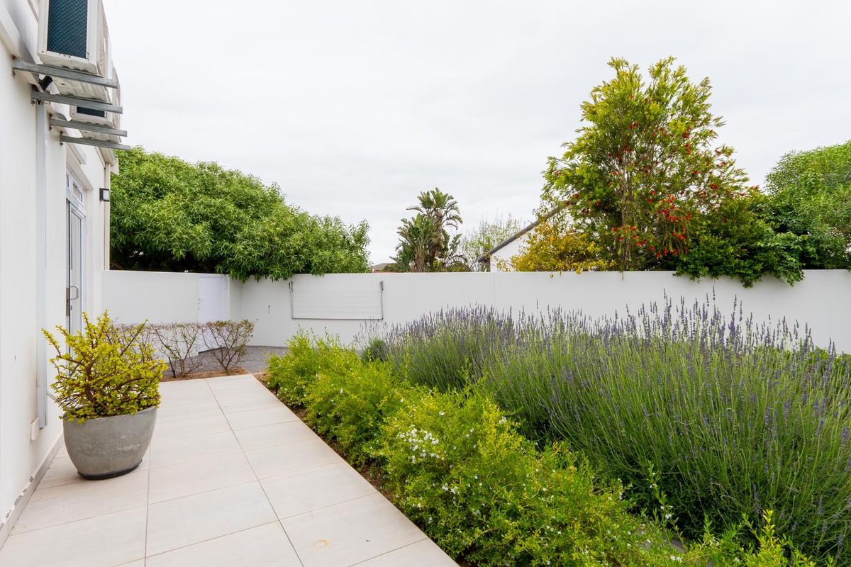 A well-maintained rear garden area featuring a paved patio, perimeter boundary wall, and established garden beds with lavender and shrubs.
