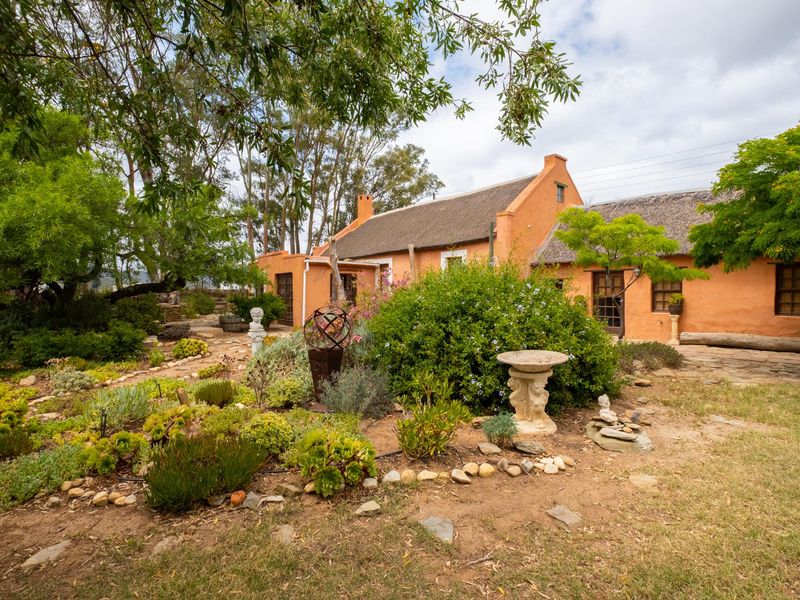 House For Sale in McGregor, Western Cape - Photo 4