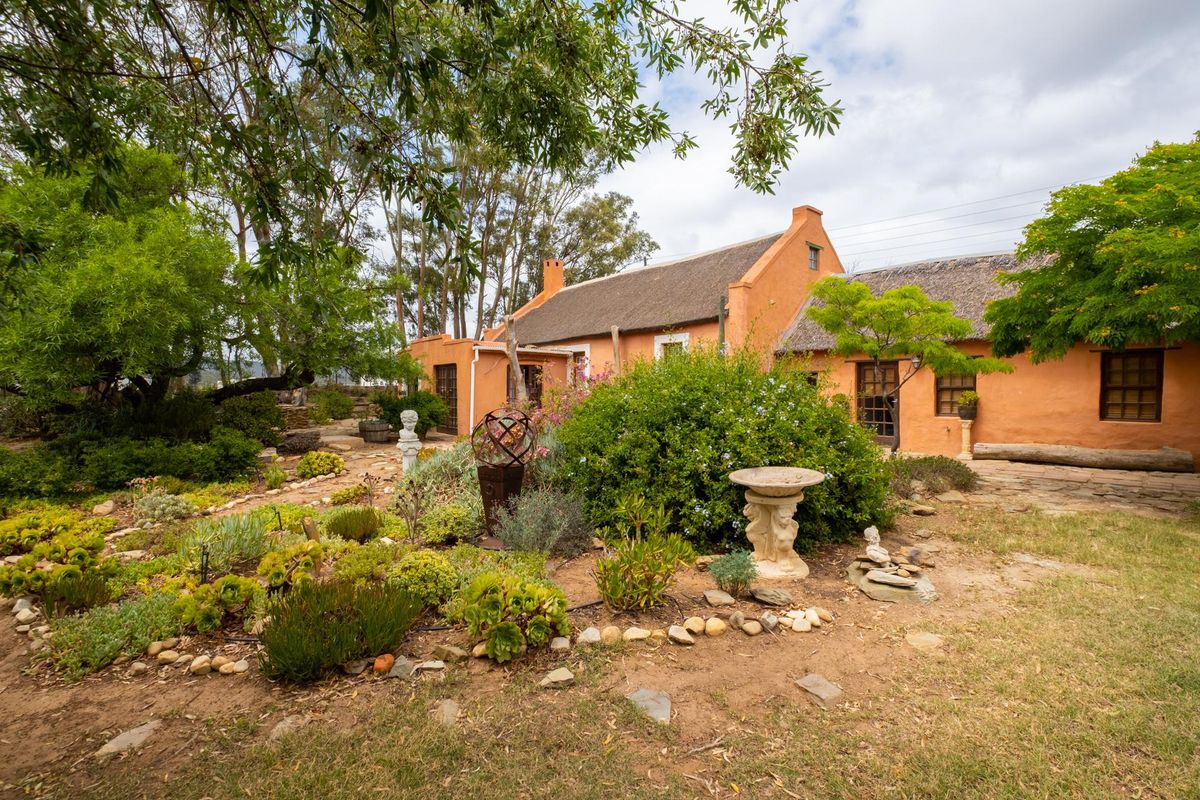 House For Sale in McGregor, Western Cape - Photo 4
