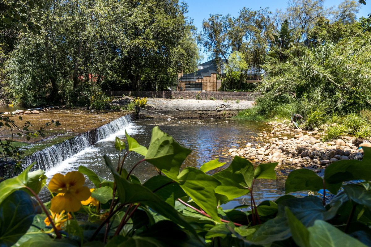 Luxurious Riverfront Residence - Photo 3