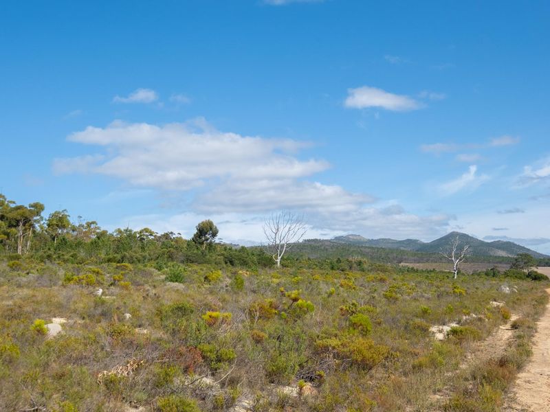 Vacant Land For Sale in Napier, Western Cape - Photo 9
