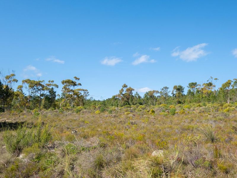 Vacant Land For Sale in Napier, Western Cape - Photo 6
