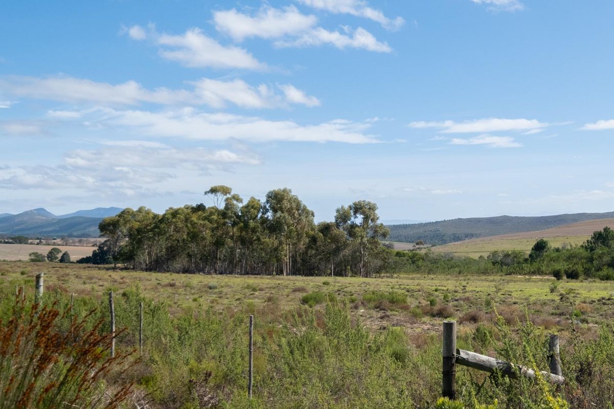 Vacant Land For Sale in Napier, Western Cape - Photo 3