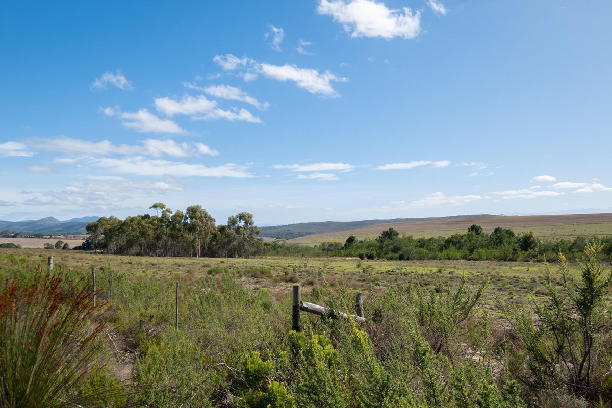 Vacant Land For Sale in Napier, Western Cape - Photo 4