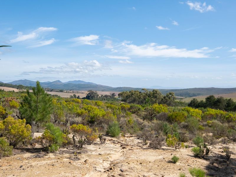 A scenic view of the vacant residential land featuring natural fynbos vegetation and distant mountain ranges under a clear blue sky.